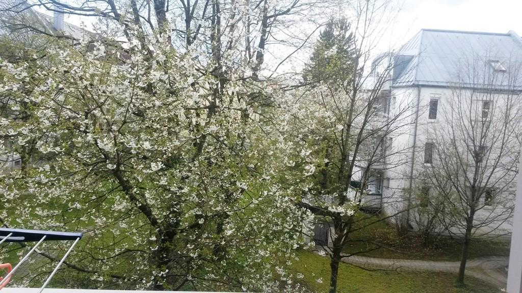 Foto der Immobilie (14460)