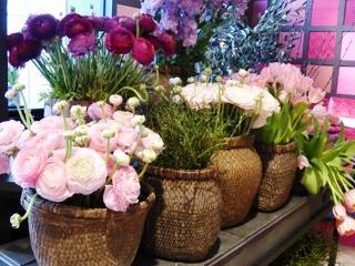 Foto der Immobilie (14004)