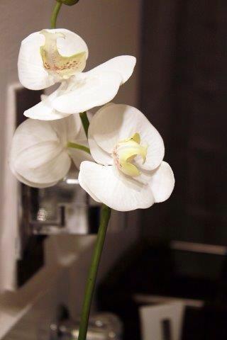 Foto der Immobilie (15030)