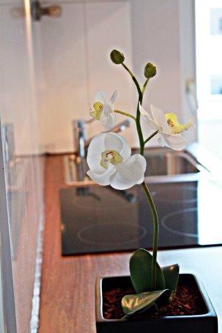 Foto der Immobilie (15021)