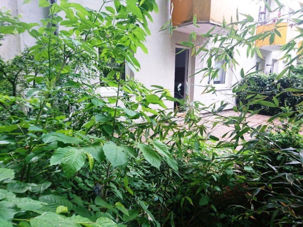 Property Photo (16742)