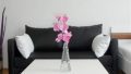 Property Photo (15995)