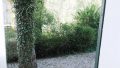 Property Photo (16091)