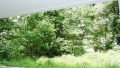 Property Photo (15928)