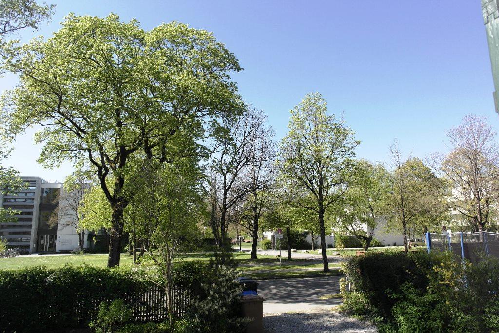 Property Photo (16095)