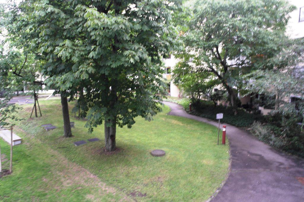 Property Photo (16411)
