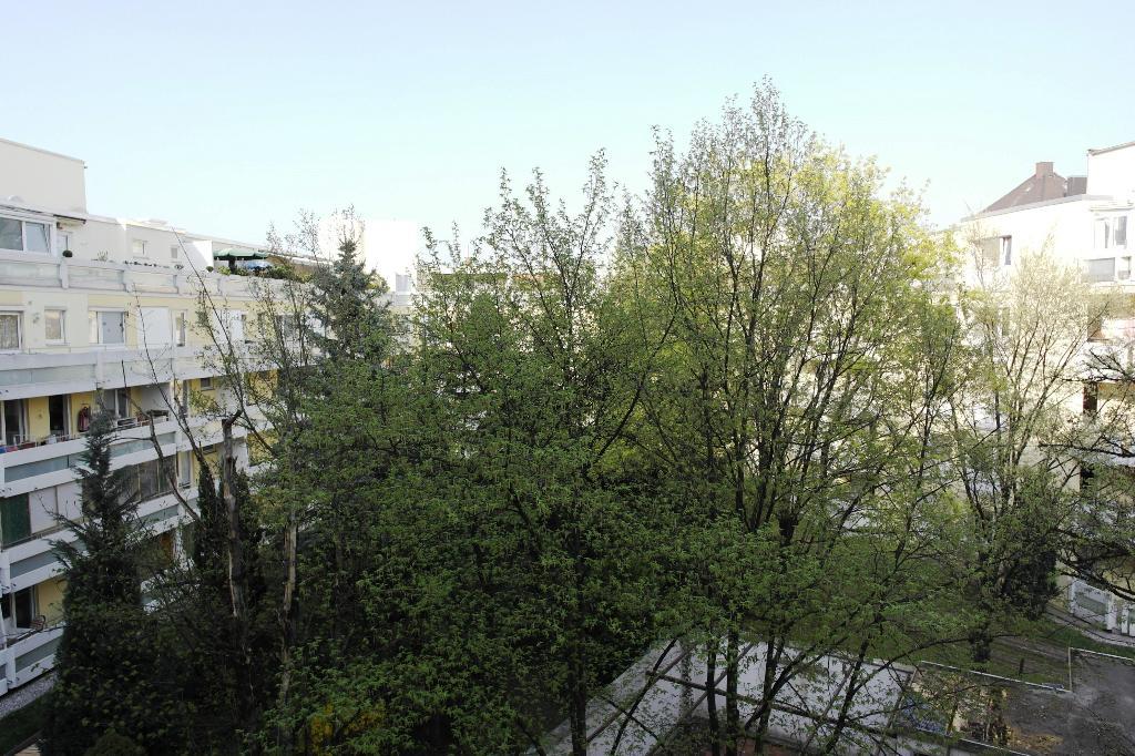 Property Photo (15911)