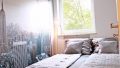 Property Photo (16013)