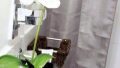 Property Photo (16025)