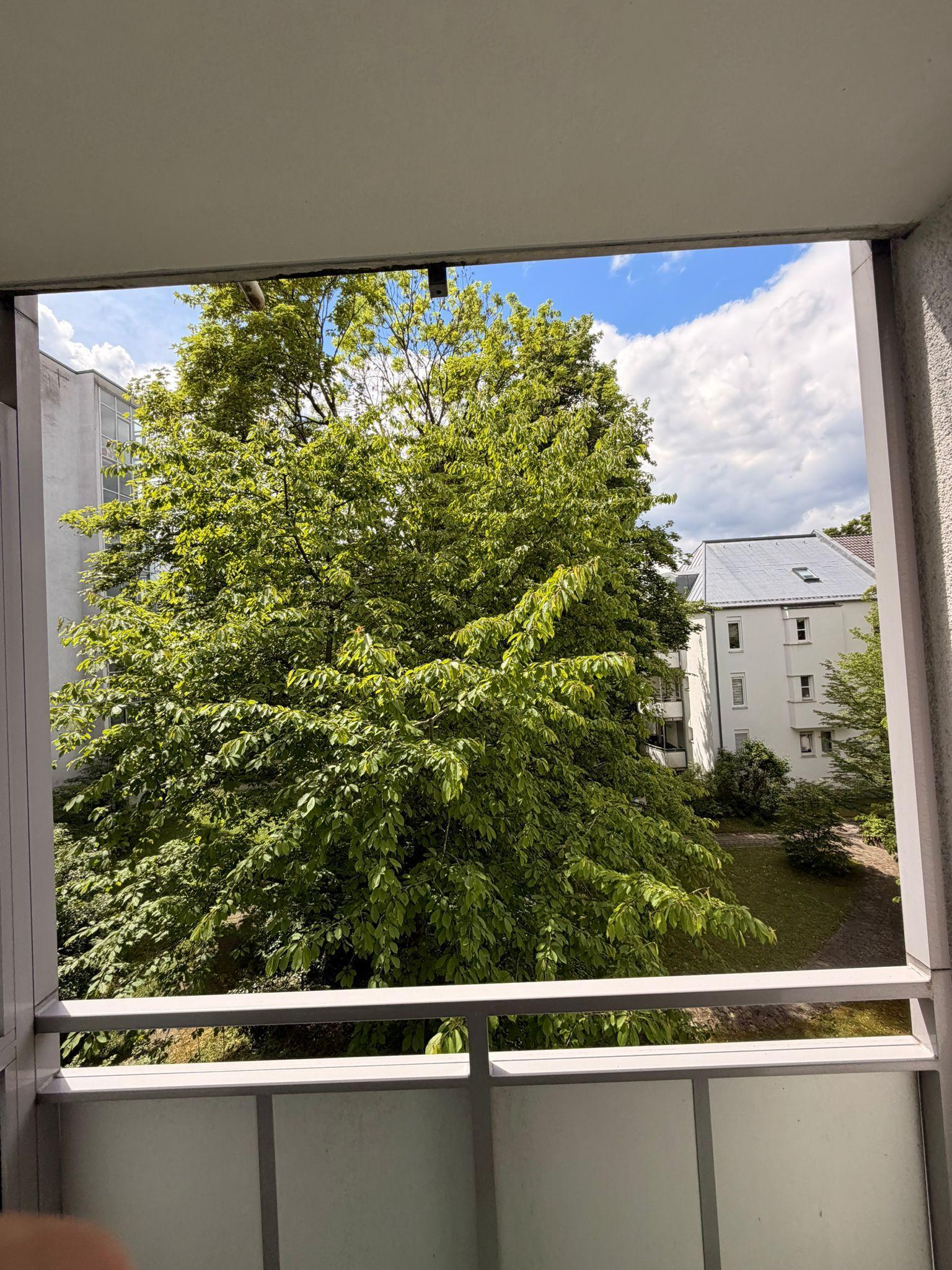 Property Photo (18614)